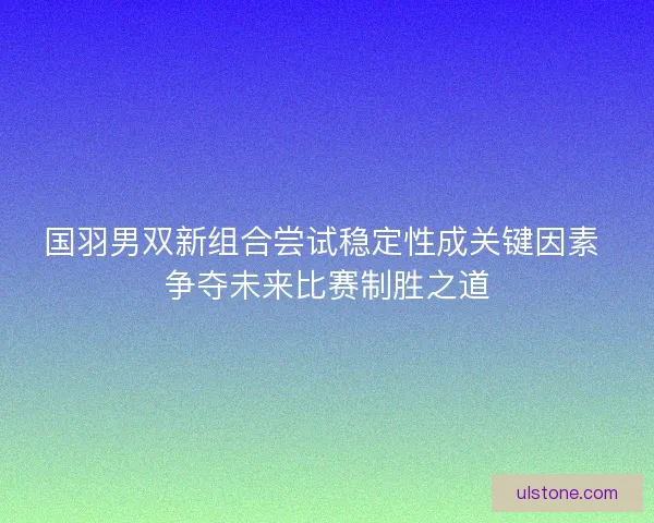 国羽男双新组合尝试稳定性成关键因素 争夺未来比赛制胜之道